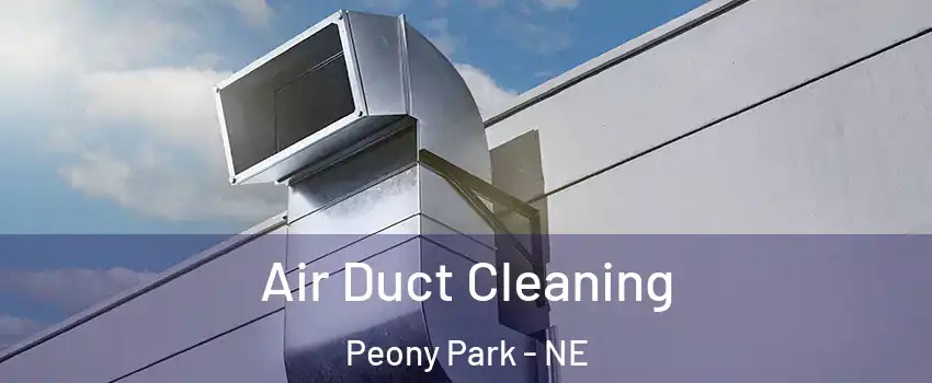 Air Duct Cleaning Peony Park - NE