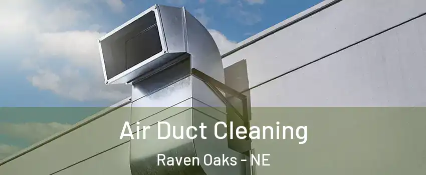 Air Duct Cleaning Raven Oaks - NE