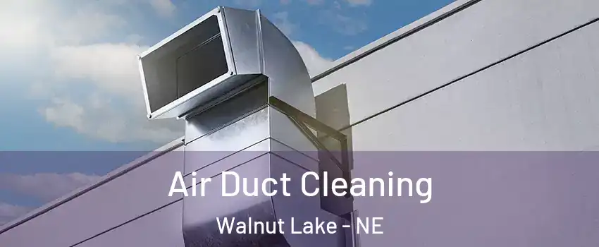 Air Duct Cleaning Walnut Lake - NE