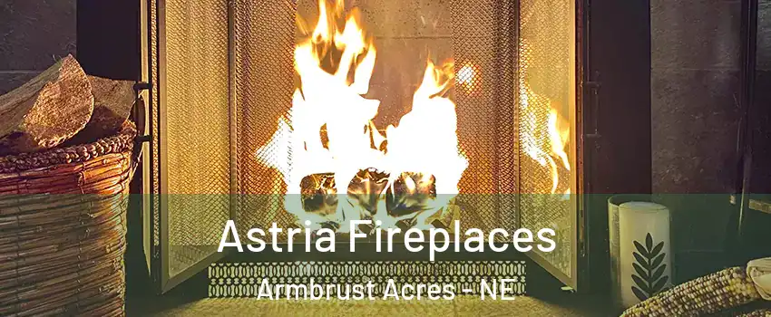 Astria Fireplaces Armbrust Acres - NE
