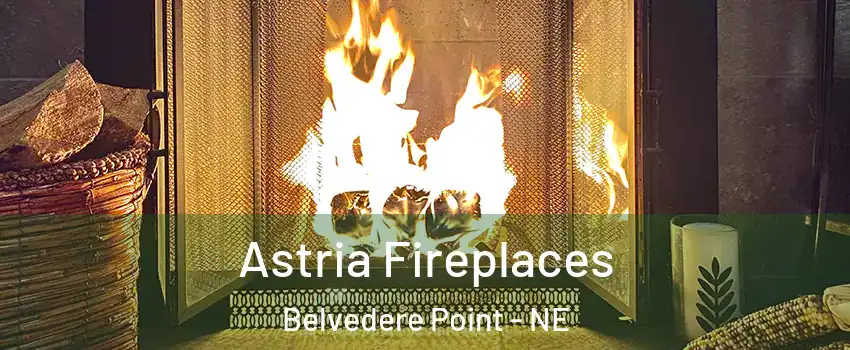 Astria Fireplaces Belvedere Point - NE