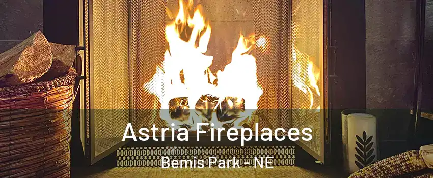 Astria Fireplaces Bemis Park - NE