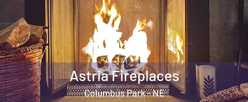 Astria Fireplaces Columbus Park - NE