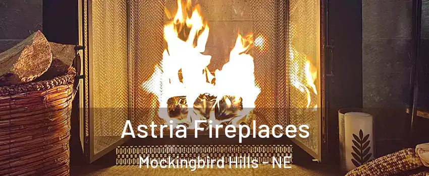 Astria Fireplaces Mockingbird Hills - NE