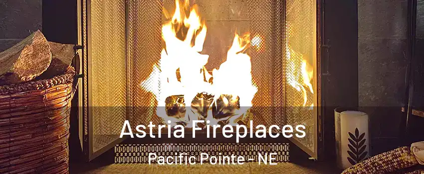 Astria Fireplaces Pacific Pointe - NE