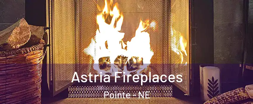Astria Fireplaces Pointe - NE