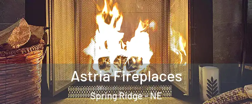 Astria Fireplaces Spring Ridge - NE