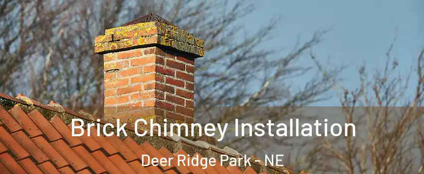 Brick Chimney Installation Deer Ridge Park - NE