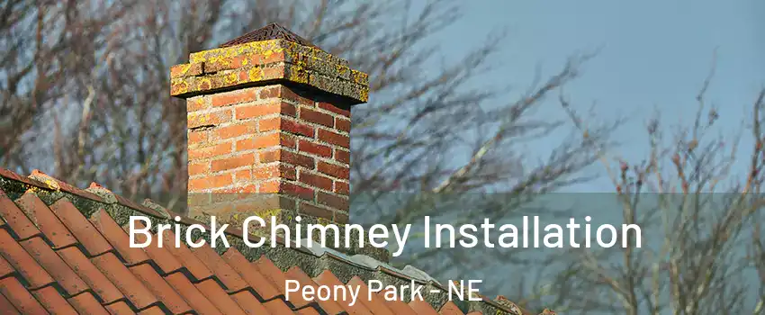 Brick Chimney Installation Peony Park - NE