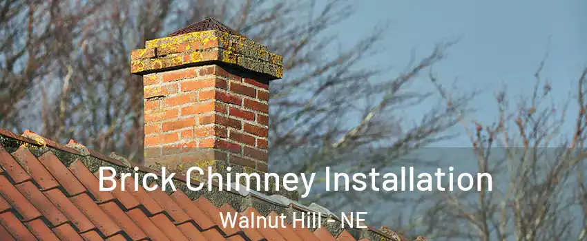 Brick Chimney Installation Walnut Hill - NE
