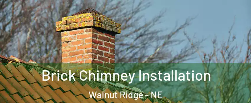 Brick Chimney Installation Walnut Ridge - NE