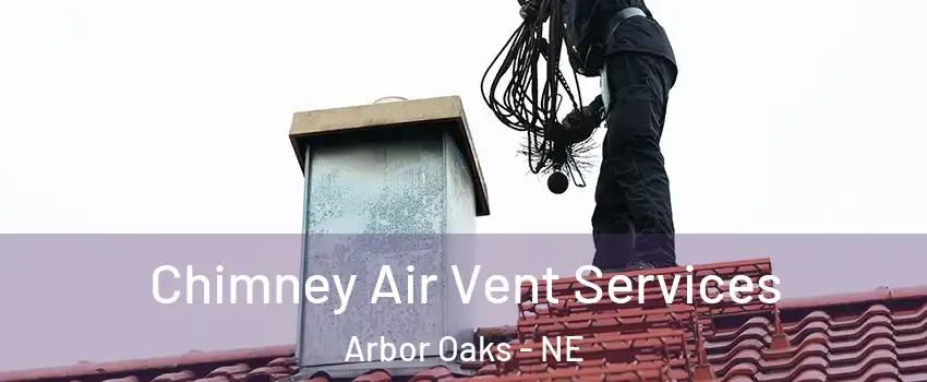 Chimney Air Vent Services Arbor Oaks - NE