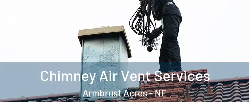 Chimney Air Vent Services Armbrust Acres - NE
