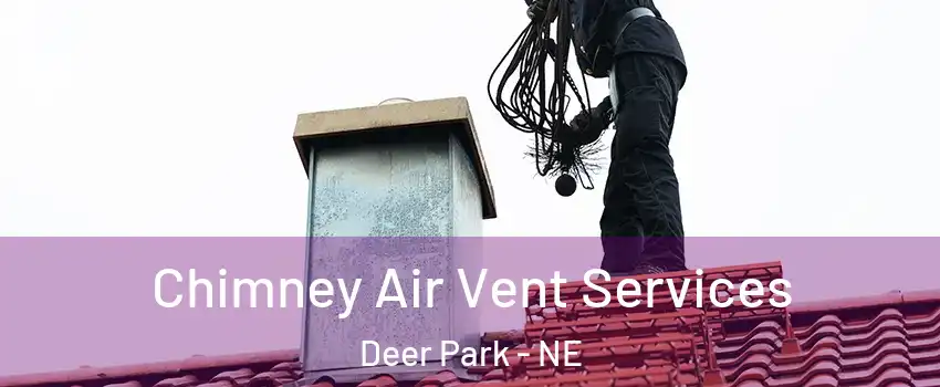 Chimney Air Vent Services Deer Park - NE