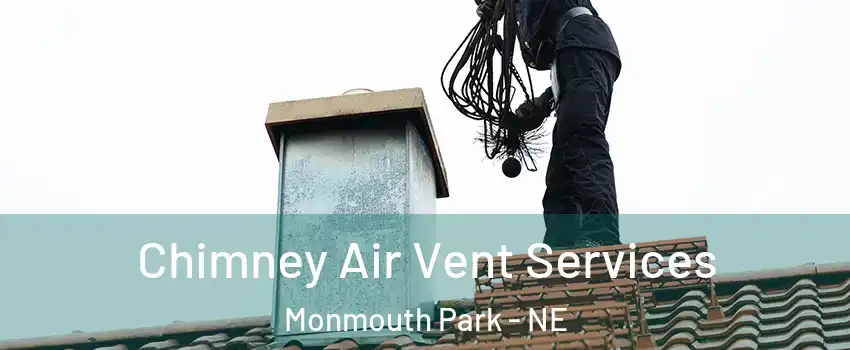 Chimney Air Vent Services Monmouth Park - NE
