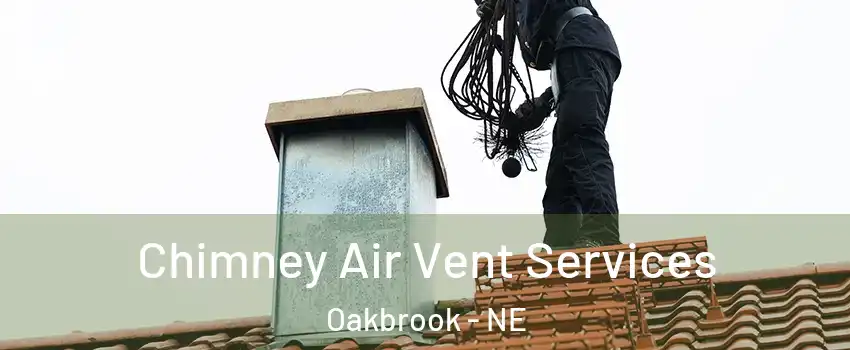 Chimney Air Vent Services Oakbrook - NE