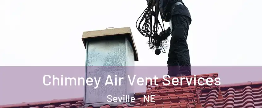 Chimney Air Vent Services Seville - NE