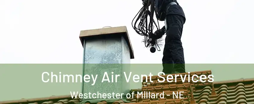 Chimney Air Vent Services Westchester of Millard - NE