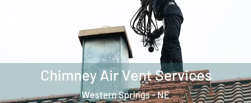 Chimney Air Vent Services Western Springs - NE