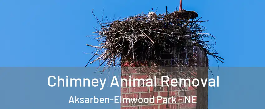 Chimney Animal Removal Aksarben-Elmwood Park - NE