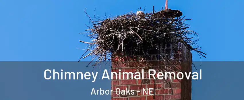 Chimney Animal Removal Arbor Oaks - NE