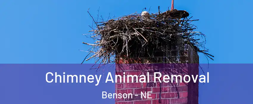 Chimney Animal Removal Benson - NE