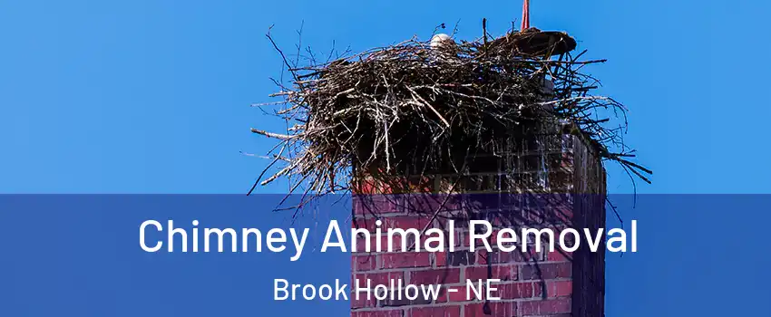Chimney Animal Removal Brook Hollow - NE