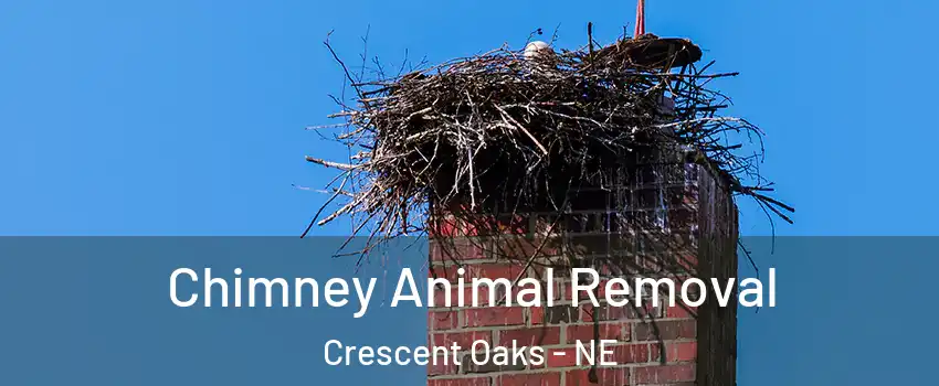 Chimney Animal Removal Crescent Oaks - NE