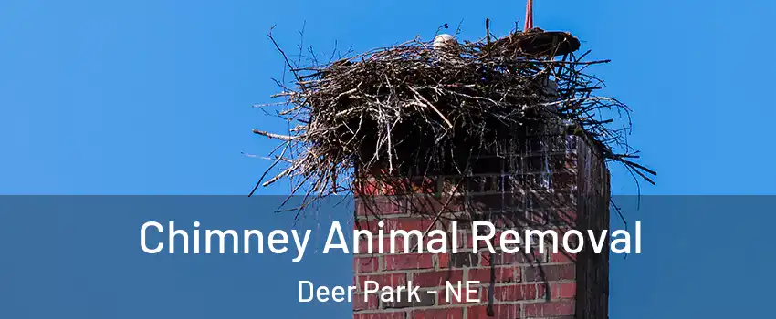 Chimney Animal Removal Deer Park - NE