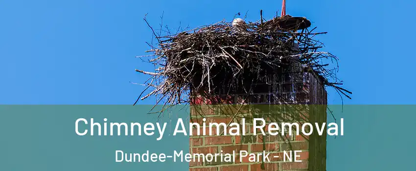 Chimney Animal Removal Dundee-Memorial Park - NE