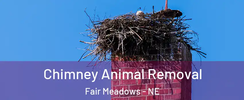 Chimney Animal Removal Fair Meadows - NE