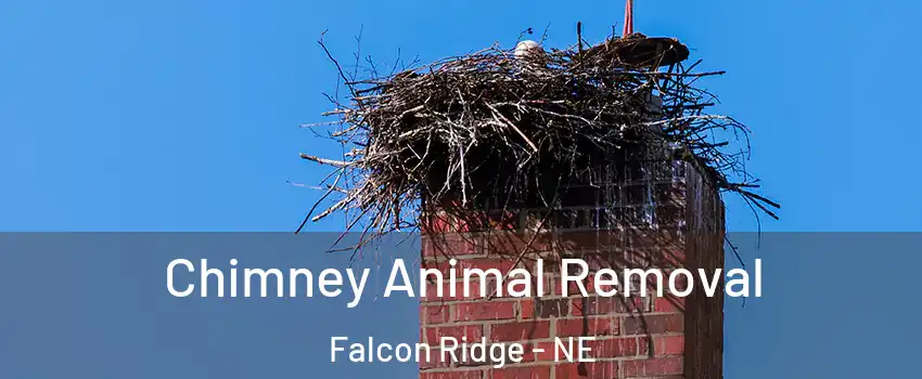 Chimney Animal Removal Falcon Ridge - NE
