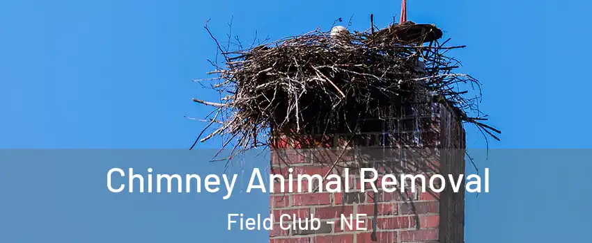 Chimney Animal Removal Field Club - NE