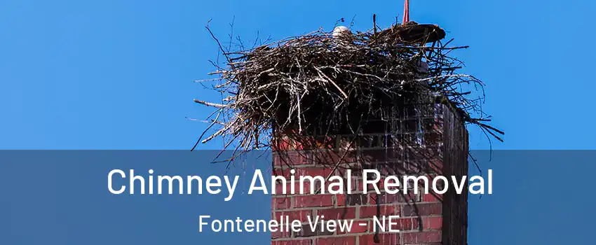 Chimney Animal Removal Fontenelle View - NE