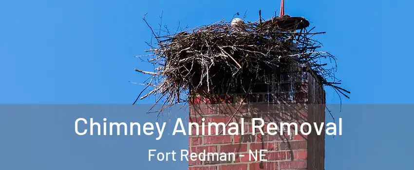 Chimney Animal Removal Fort Redman - NE