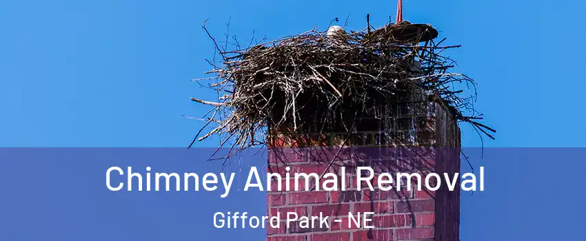 Chimney Animal Removal Gifford Park - NE