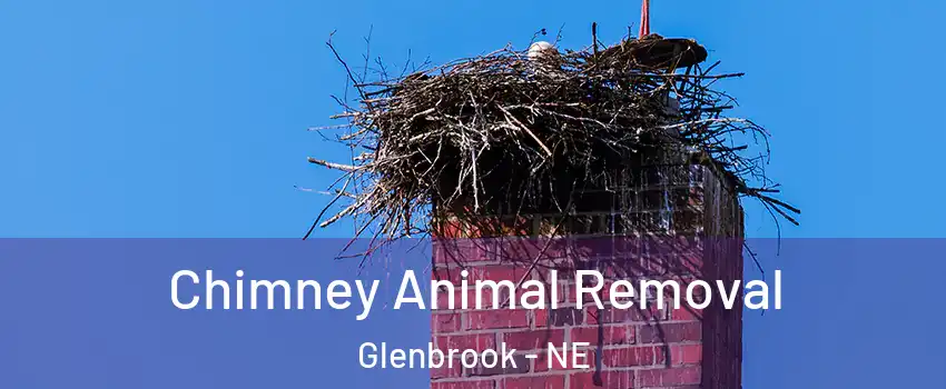 Chimney Animal Removal Glenbrook - NE