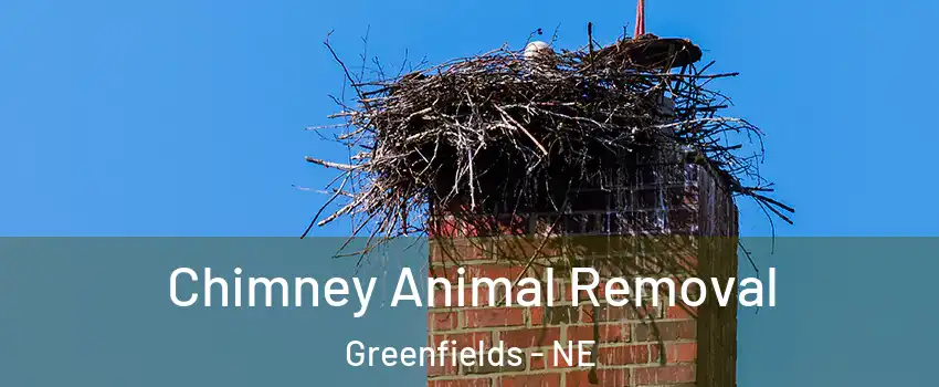 Chimney Animal Removal Greenfields - NE