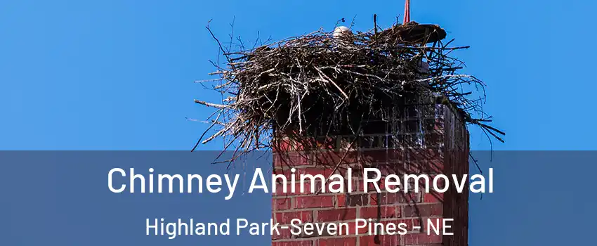 Chimney Animal Removal Highland Park-Seven Pines - NE