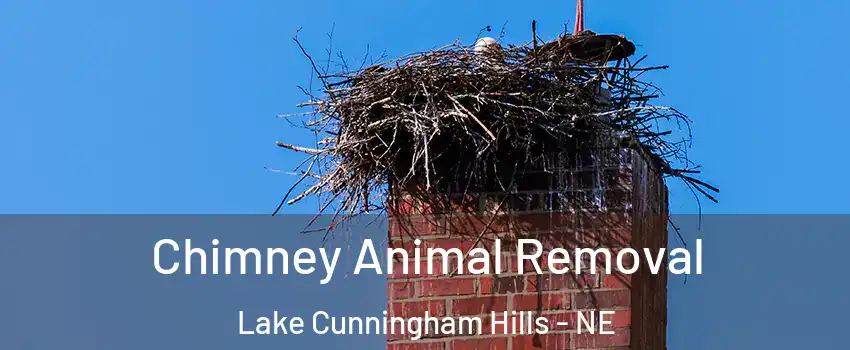 Chimney Animal Removal Lake Cunningham Hills - NE