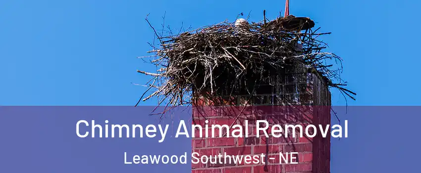 Chimney Animal Removal Leawood Southwest - NE