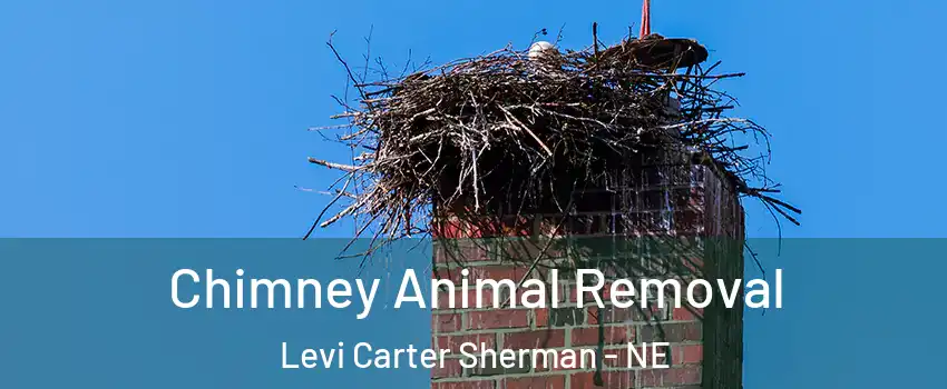 Chimney Animal Removal Levi Carter Sherman - NE
