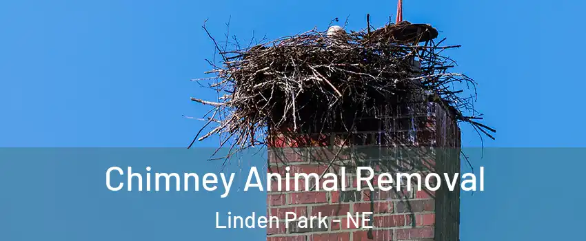 Chimney Animal Removal Linden Park - NE