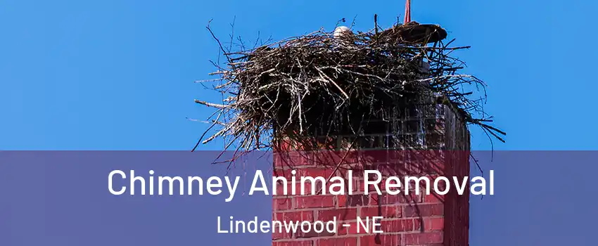 Chimney Animal Removal Lindenwood - NE