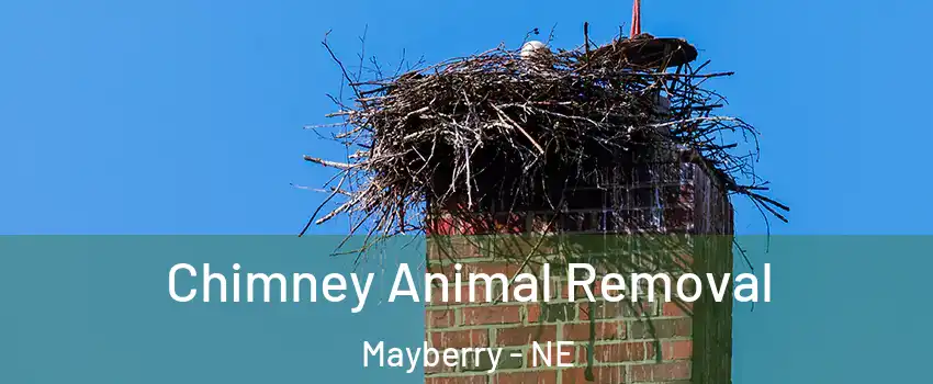 Chimney Animal Removal Mayberry - NE