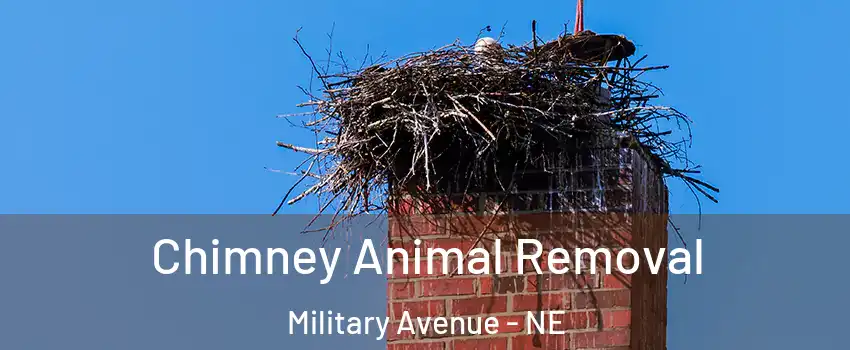 Chimney Animal Removal Military Avenue - NE