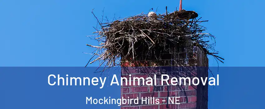 Chimney Animal Removal Mockingbird Hills - NE