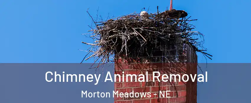Chimney Animal Removal Morton Meadows - NE