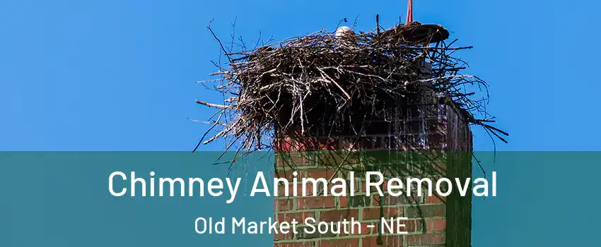 Chimney Animal Removal Old Market South - NE