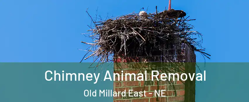 Chimney Animal Removal Old Millard East - NE